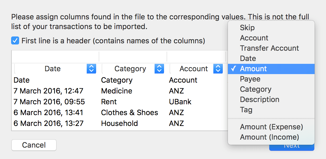 Debit & Credit Import File